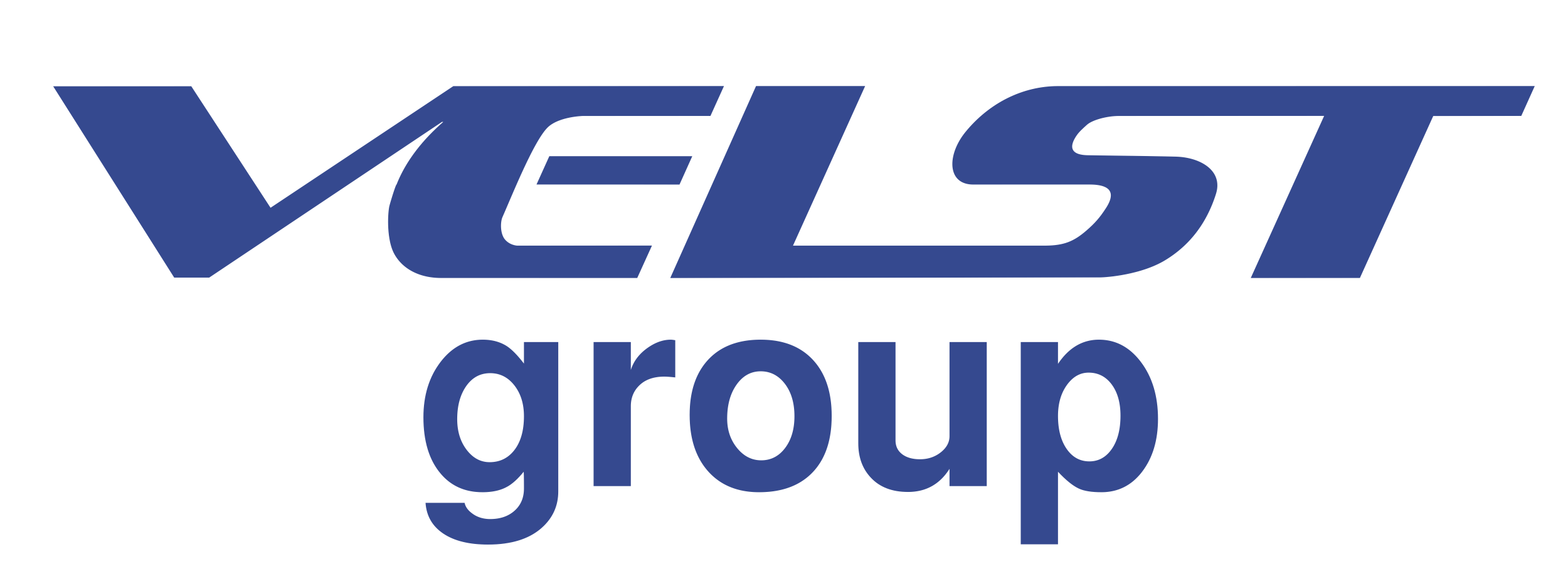 VELST group
